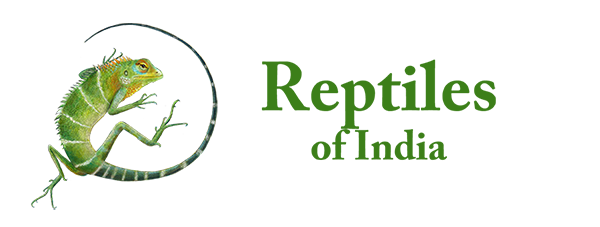 Reptiles of India